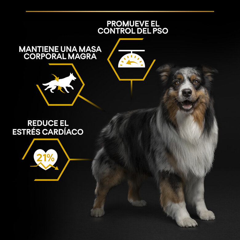 Pro Plan Adult All Sizes Light/Sterilised Peixe Branco ração para cães,  Imagem número 2 Pro Plan Adult All Sizes Light/Sterilised Peixe Branco ração para cães, , large Imagem número 2